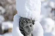 snowwhite copy